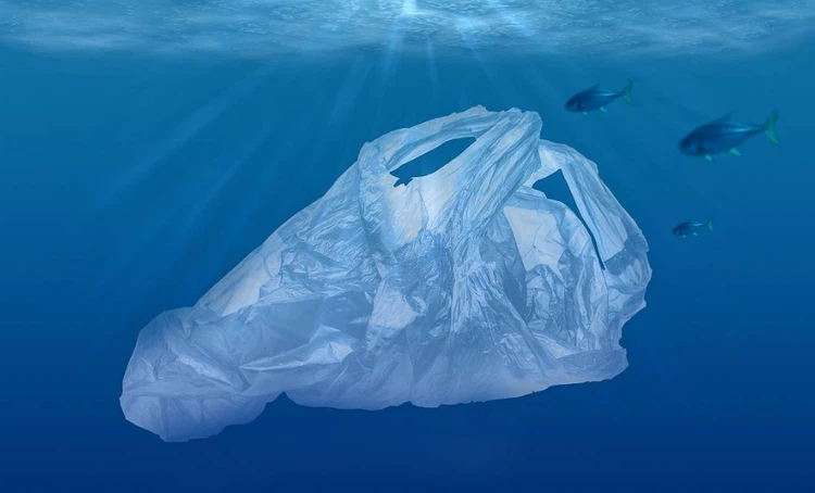 info-916-554 info-916-554